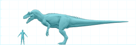 Størrelsesforhold mellem en Allosaurus og et menneske