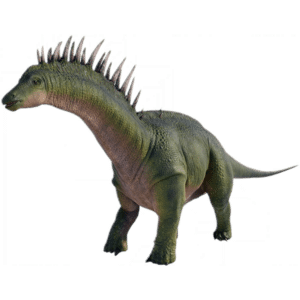 Amargasaurus