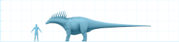 Størrelsesforhold mellem en Amargasaurus og et menneske