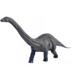 Apatosaurus