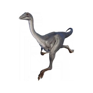 Archaeornithomimus