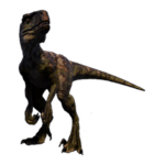 Atrociraptor