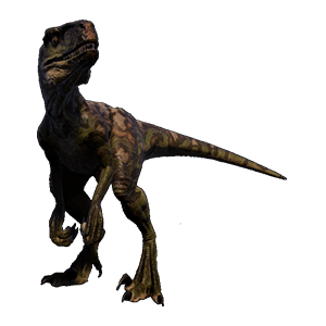 Atrociraptor