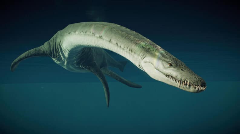 Attenborosaurus