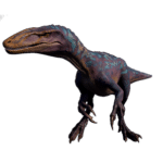 Australovenator