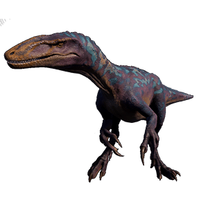 Australovenator