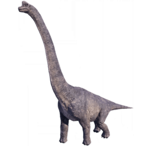 Brachiosaurus