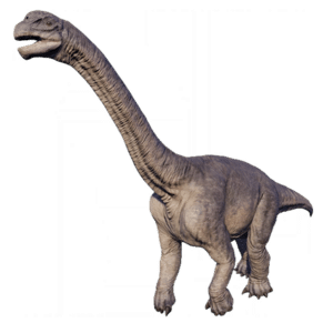 Camarasaurus