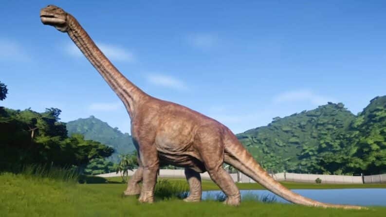 Camarasaurus