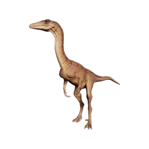 Coelophysis