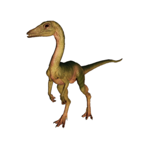 Compsognathus