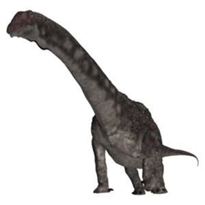 Diamantinasaurus