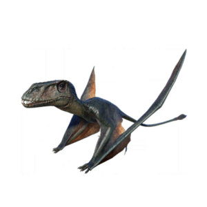 Dimorphodon