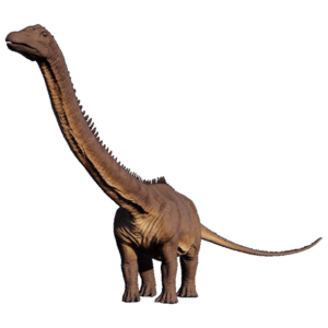 Diplodocus