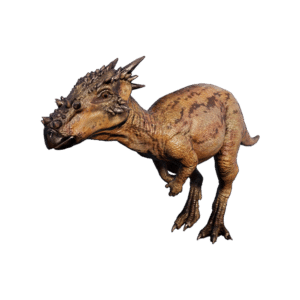 Dracorex