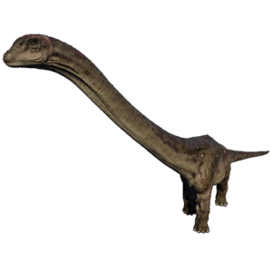 Dreadnoughtus