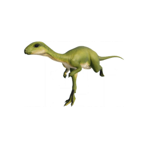 Dryosaurus