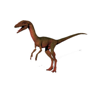 Eoraptor