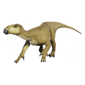 Iguanodon