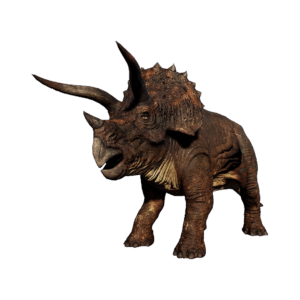 Triceratops