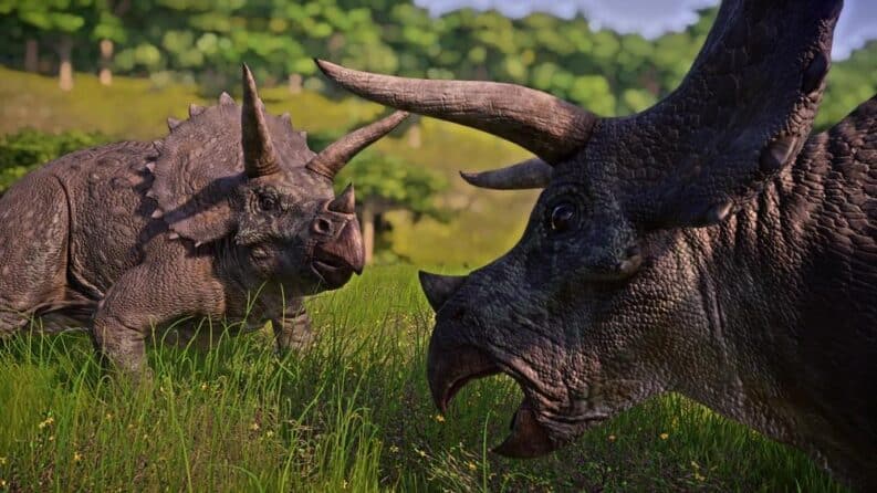 Triceratops